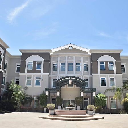 Holiday Inn Express Windsor Sonoma Wine Country By Ihg Ngoại thất bức ảnh